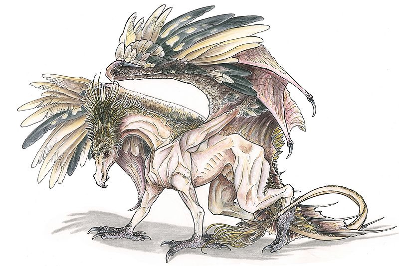 Datei:Suratai farbeP.jpg